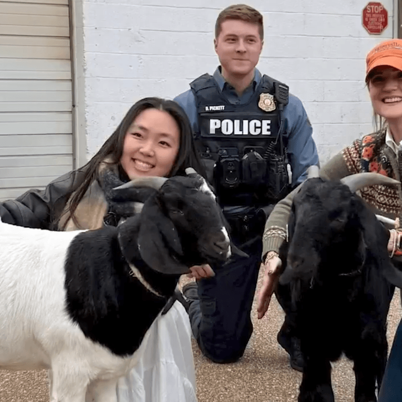 Baltimore Officer Suspended After Alleged Reckless Pursuit of Civilians