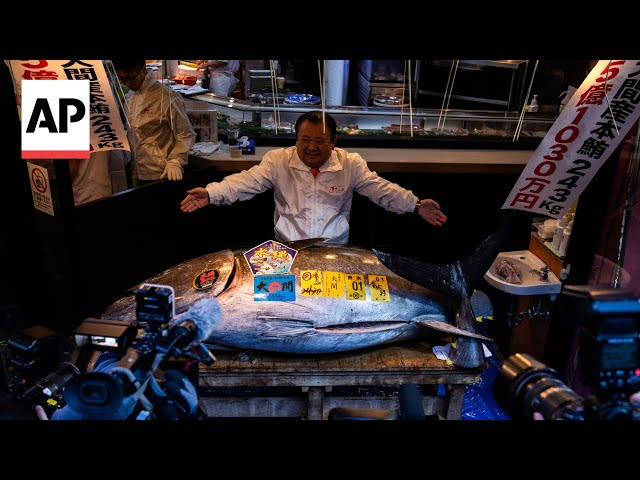 Tuna King Spends $3.2 Million on 535-Pound Bluefin Tuna in Tokyo Auction