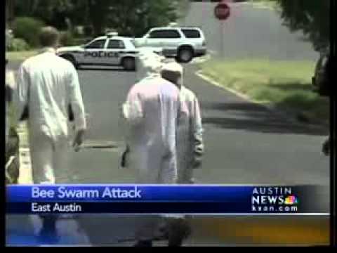 Texas Police Heroes Save Elderly Man Stung by Bees Despite Personal Risk