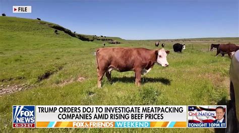 Trump’s Meat Processing Order Targets Four-Company Monopoly