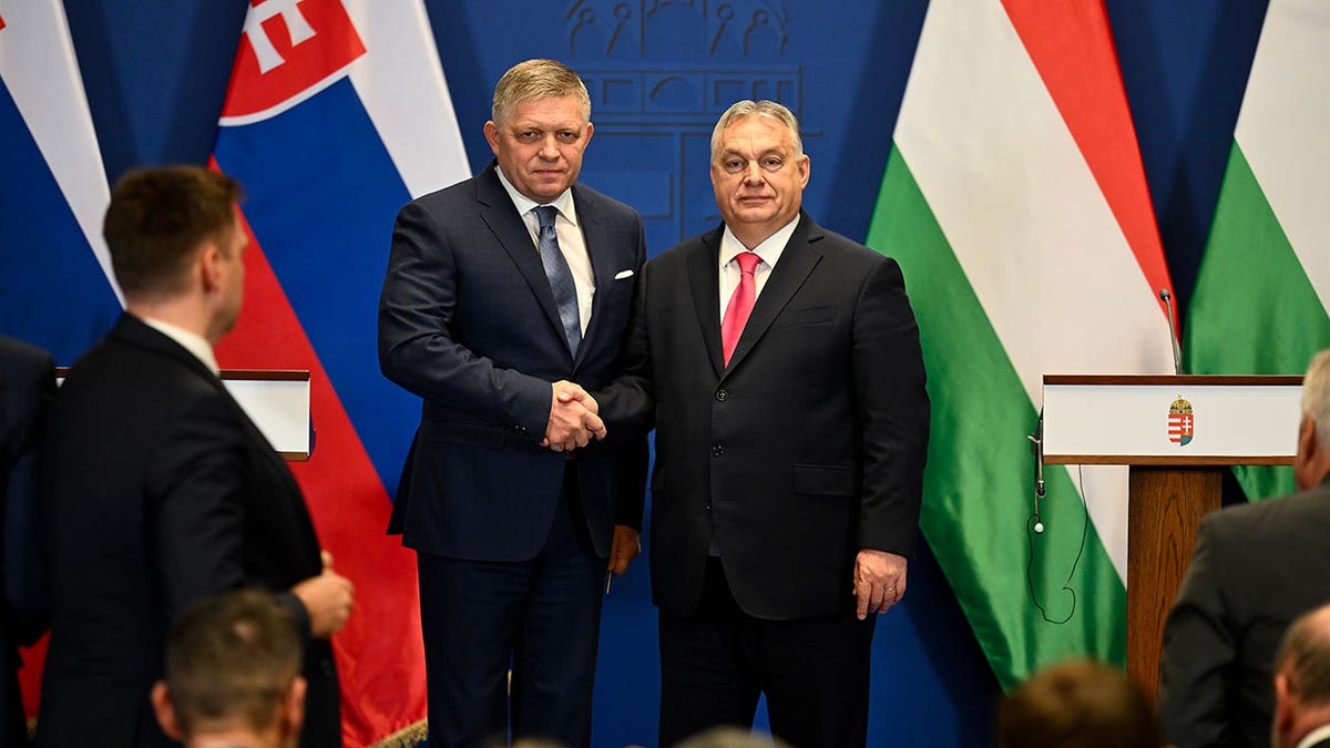 Slovak Prime Minister Fico Warns Europe Faces War Due to Ukraine Crisis