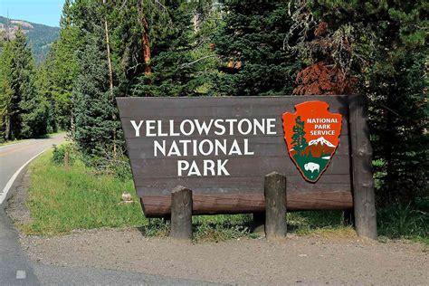 Yellowstone National Park Faces Crisis as Trash Removal Hits Record High, Visitor Behavior Sparks Concern