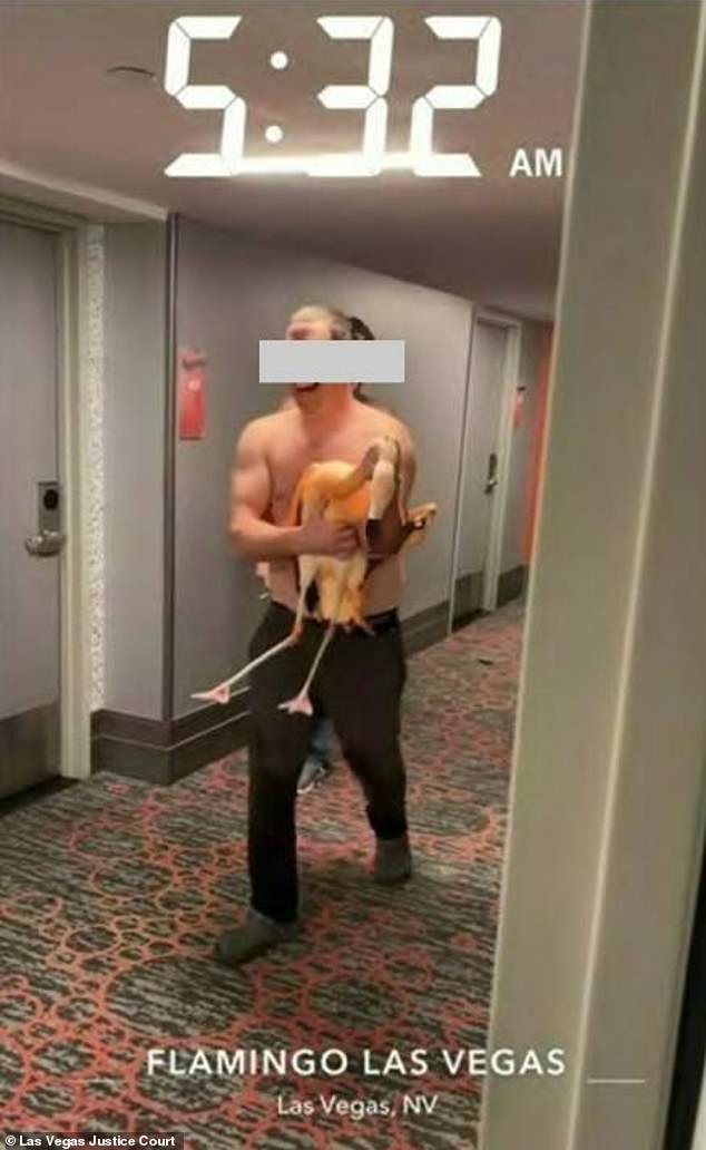 Ontario Man Convicted of Animal Cruelty After Dragging Flamingo from Vegas Hotel