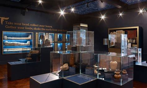 Glasgow Museum Removes Egyptian Mummies Citing Lack of Consent