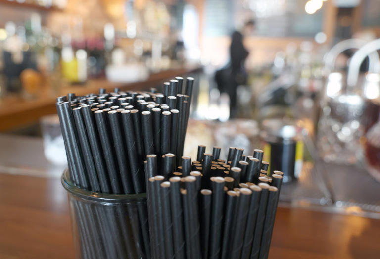 South Korean Study Reveals Paper Straws Cause Greater Environmental Damage Than Plastic