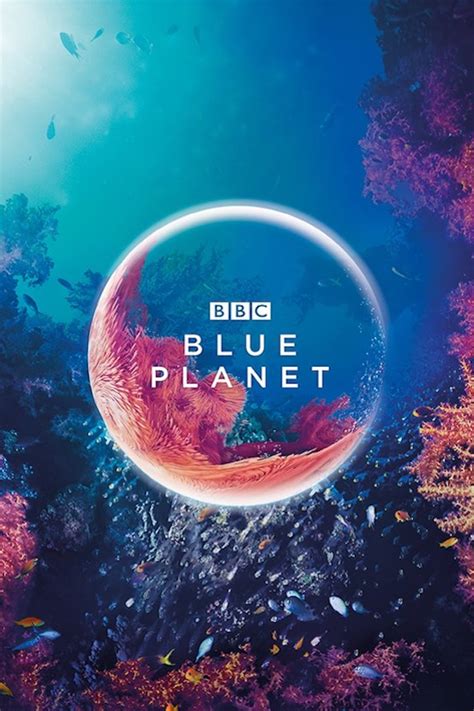 BBC Abandons Artistic Editing for Blue Planet III Amid AI Concerns